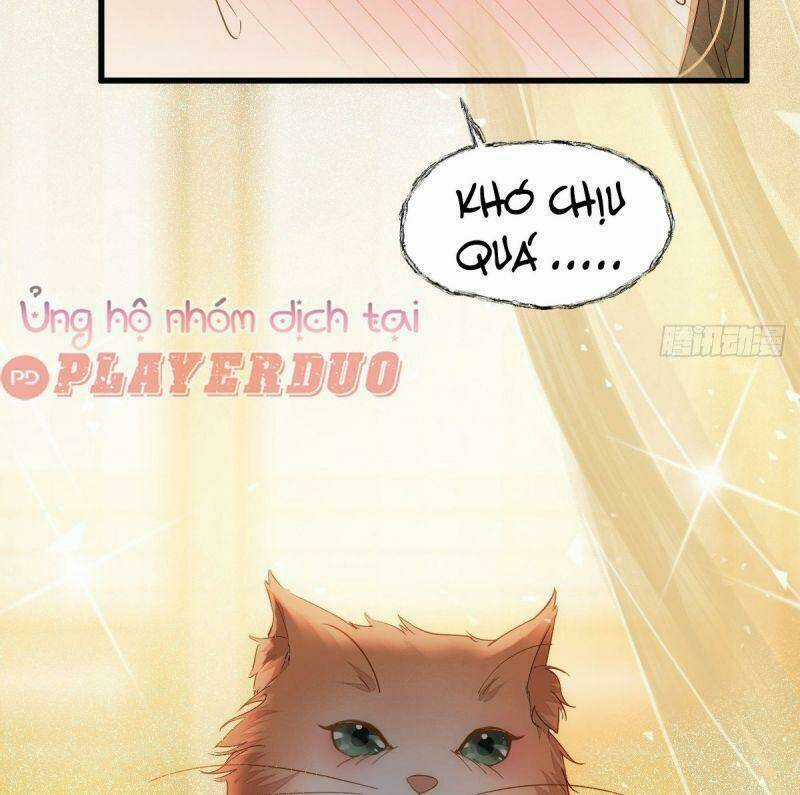 Sát Thủ Vương Phi Không Dễ Chọc - Chapter 32 - Trang 35