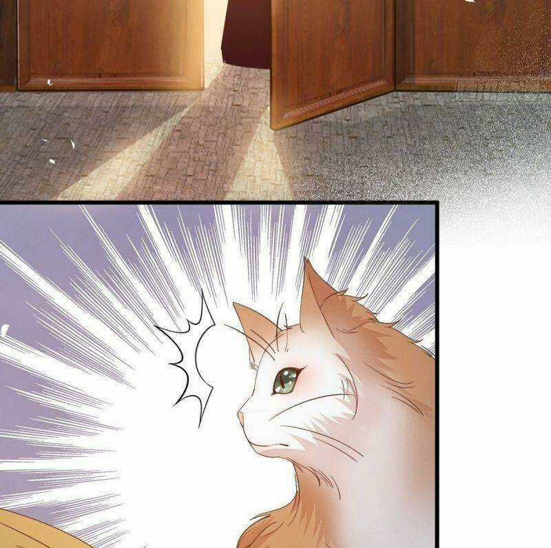 Sát Thủ Vương Phi Không Dễ Chọc - Chapter 32 - Trang 44