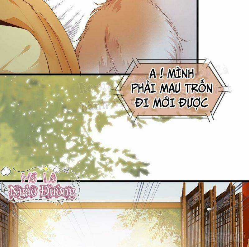 Sát Thủ Vương Phi Không Dễ Chọc - Chapter 32 - Trang 45