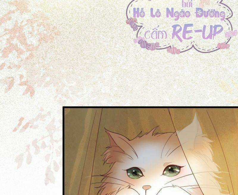 Sát Thủ Vương Phi Không Dễ Chọc - Chapter 32 - Trang 47