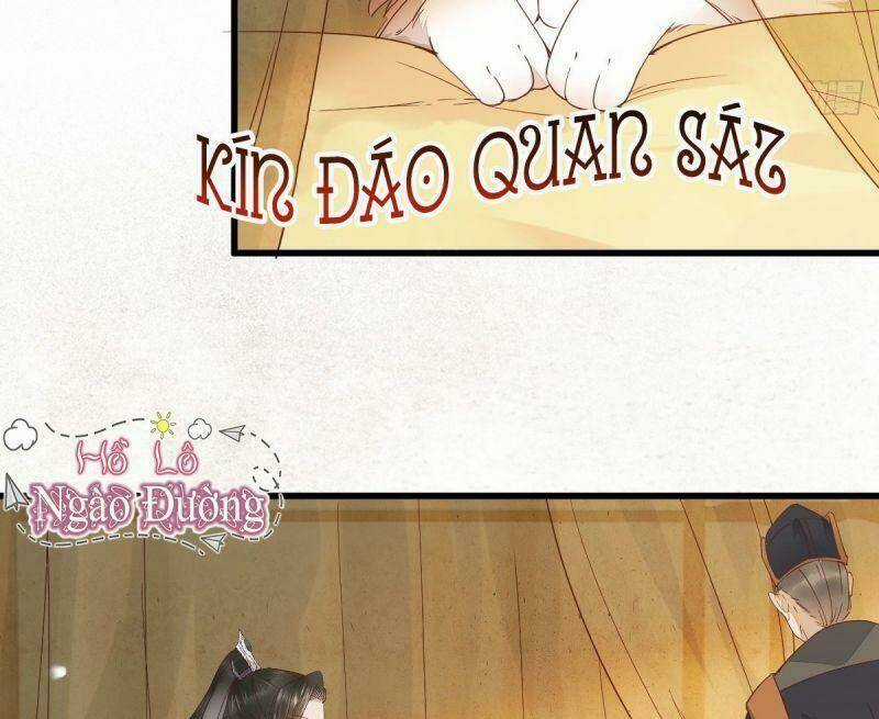 Sát Thủ Vương Phi Không Dễ Chọc - Chapter 32 - Trang 48