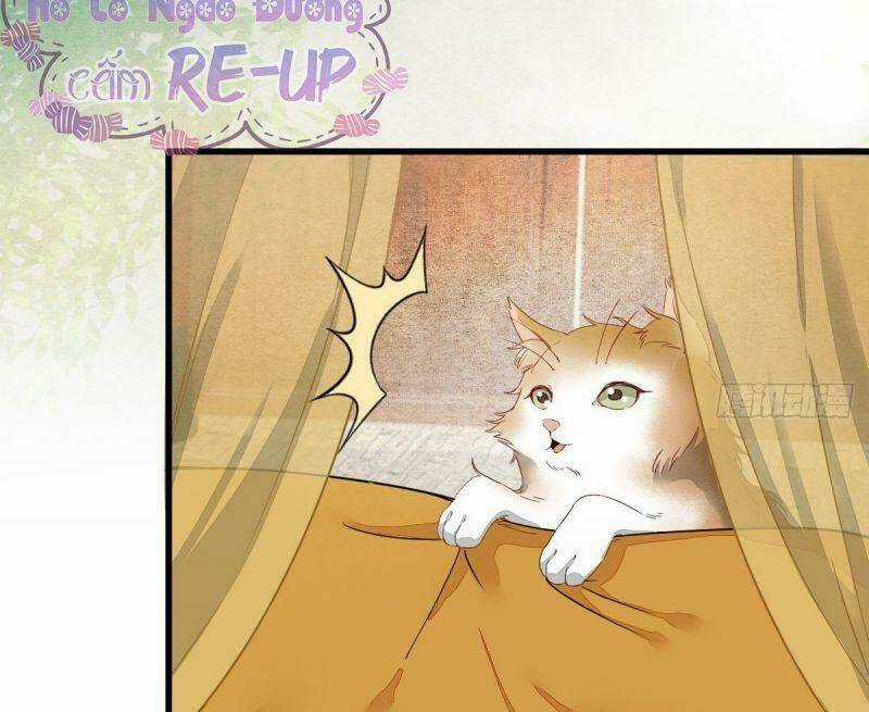 Sát Thủ Vương Phi Không Dễ Chọc - Chapter 32 - Trang 56