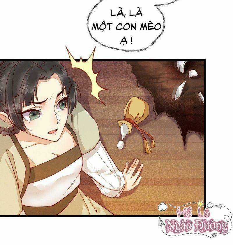 Sát Thủ Vương Phi Không Dễ Chọc - Chapter 33 - Trang 13