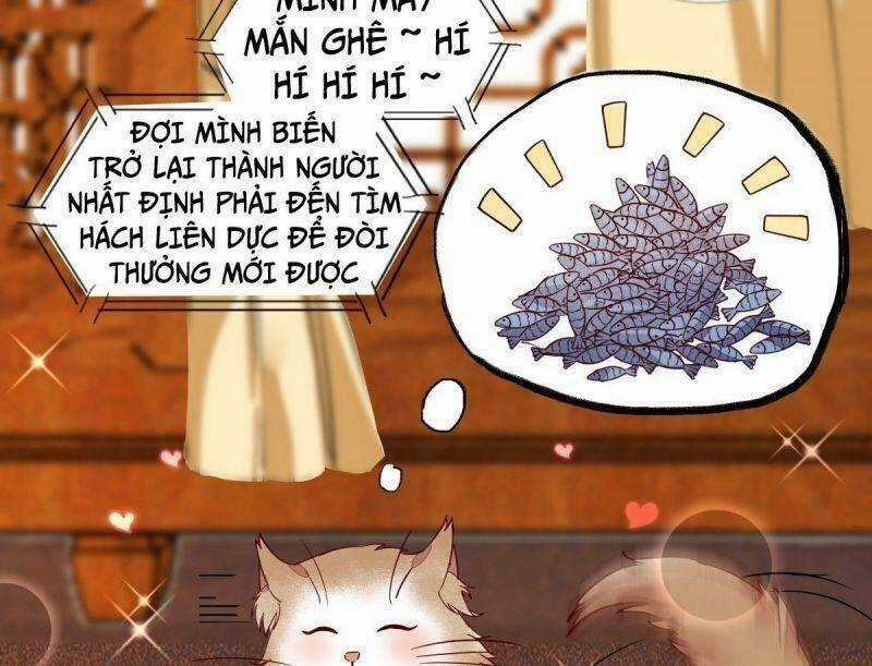 Sát Thủ Vương Phi Không Dễ Chọc - Chapter 33 - Trang 25