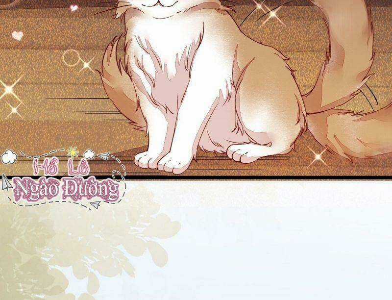 Sát Thủ Vương Phi Không Dễ Chọc - Chapter 33 - Trang 26