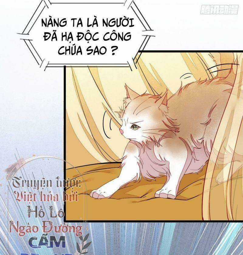 Sát Thủ Vương Phi Không Dễ Chọc - Chapter 33 - Trang 5