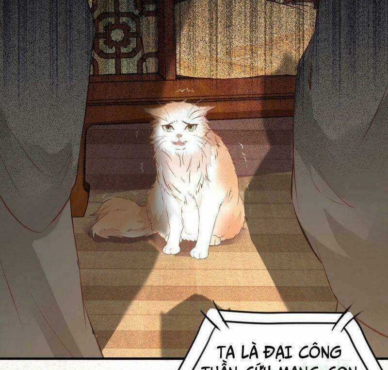 Sát Thủ Vương Phi Không Dễ Chọc - Chapter 33 - Trang 48