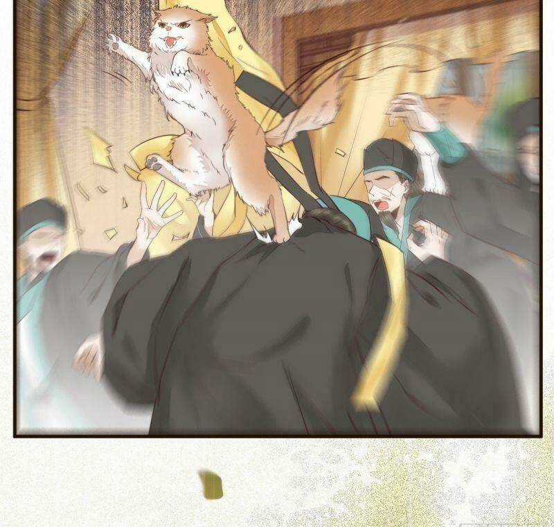 Sát Thủ Vương Phi Không Dễ Chọc - Chapter 33 - Trang 50