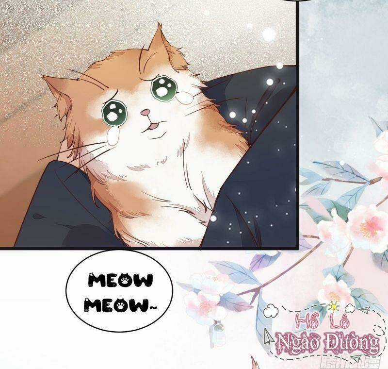 Sát Thủ Vương Phi Không Dễ Chọc - Chapter 33 - Trang 56