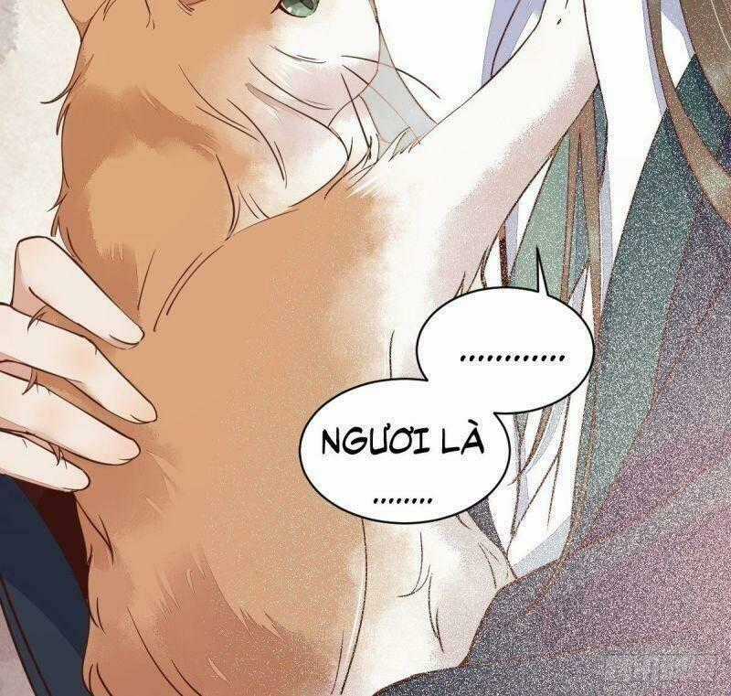 Sát Thủ Vương Phi Không Dễ Chọc - Chapter 33 - Trang 60