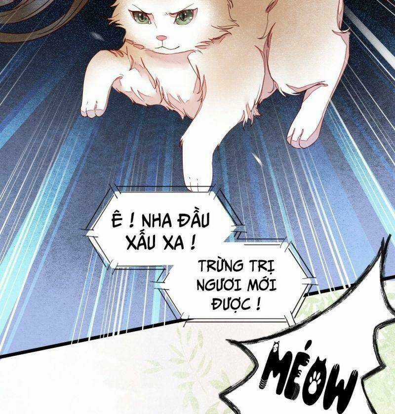 Sát Thủ Vương Phi Không Dễ Chọc - Chapter 33 - Trang 7