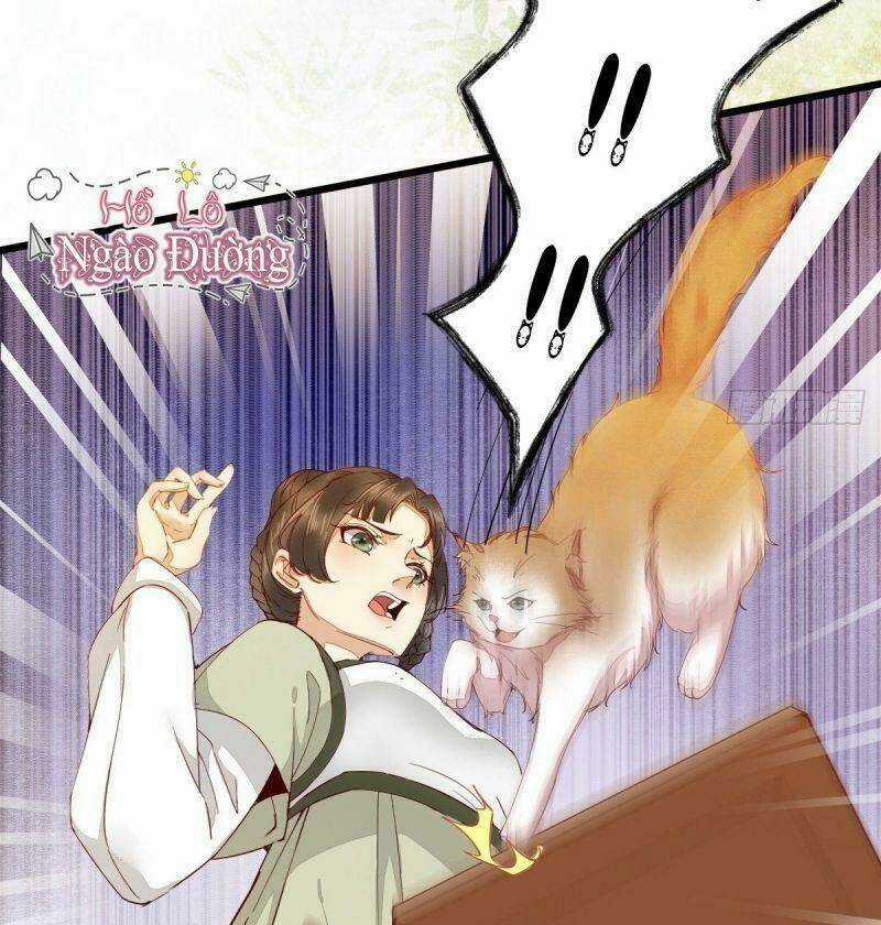 Sát Thủ Vương Phi Không Dễ Chọc - Chapter 33 - Trang 8