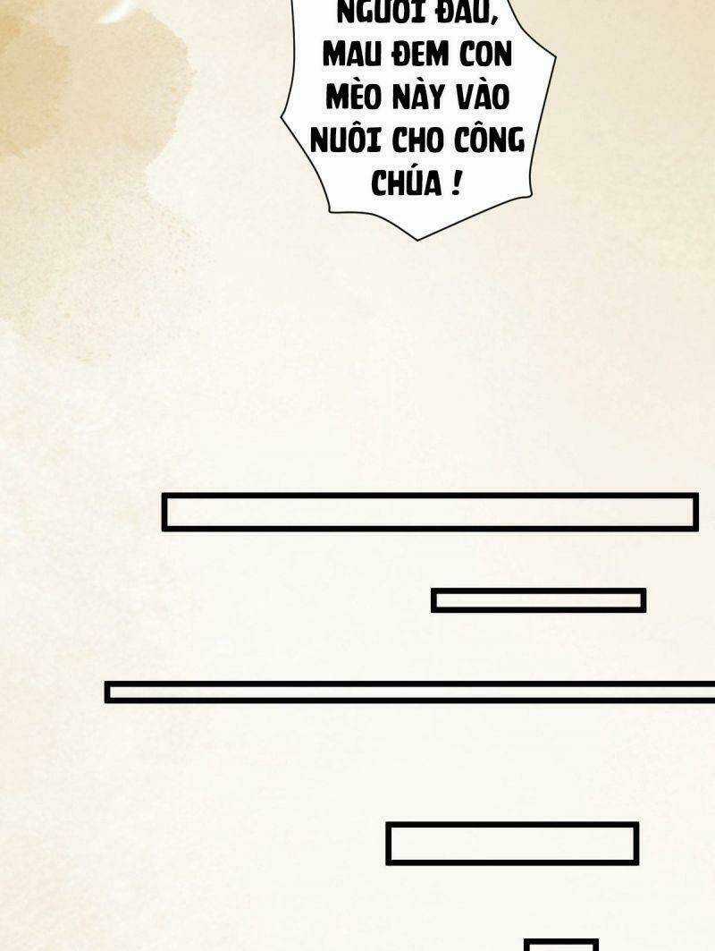 Sát Thủ Vương Phi Không Dễ Chọc - Chapter 34 - Trang 12