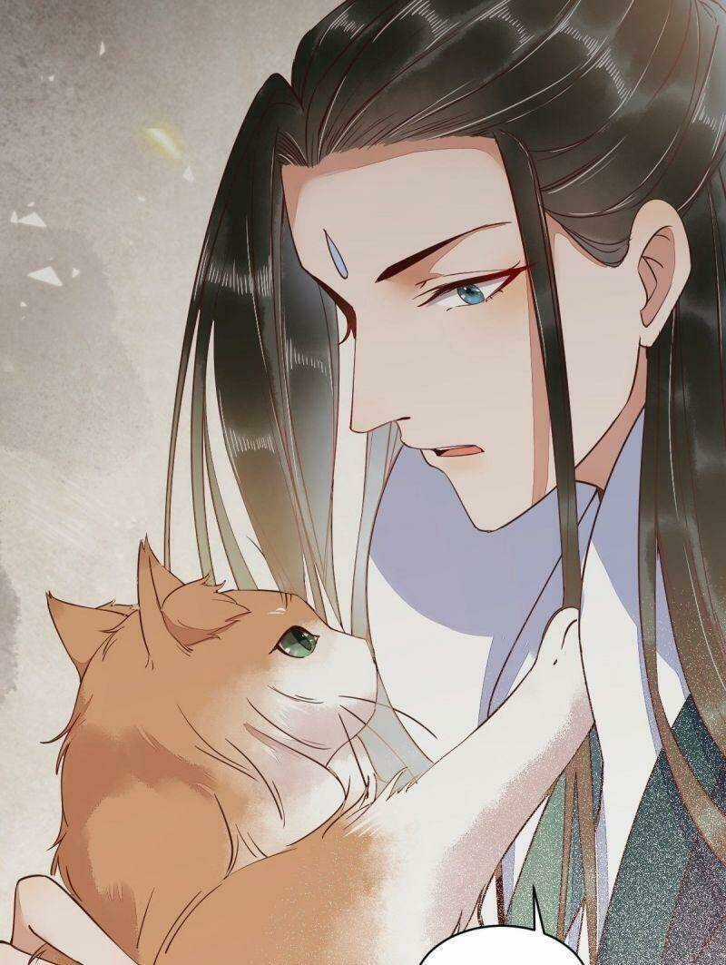 Sát Thủ Vương Phi Không Dễ Chọc - Chapter 34 - Trang 3