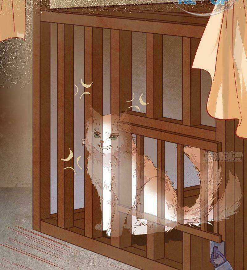 Sát Thủ Vương Phi Không Dễ Chọc - Chapter 34 - Trang 48