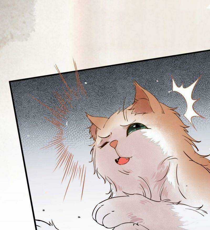 Sát Thủ Vương Phi Không Dễ Chọc - Chapter 34 - Trang 53