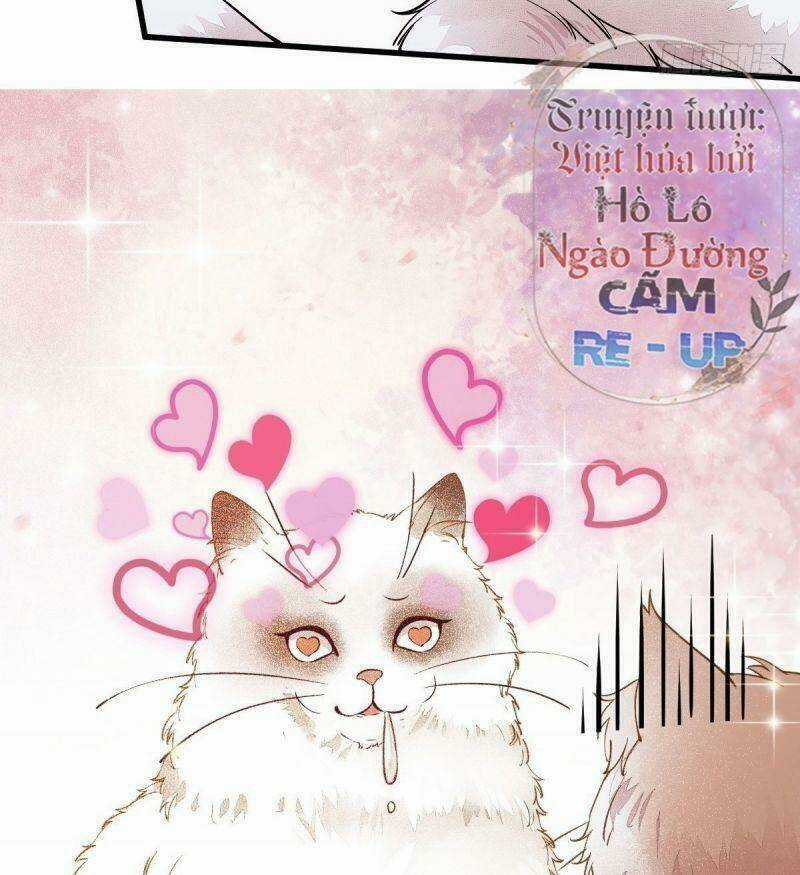 Sát Thủ Vương Phi Không Dễ Chọc - Chapter 34 - Trang 54