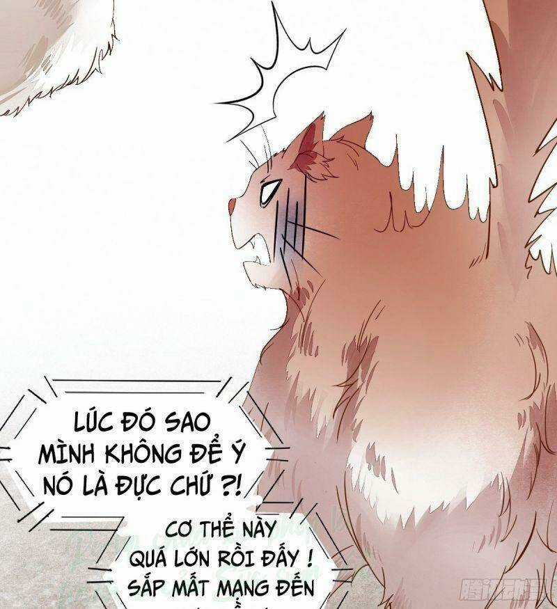 Sát Thủ Vương Phi Không Dễ Chọc - Chapter 34 - Trang 58