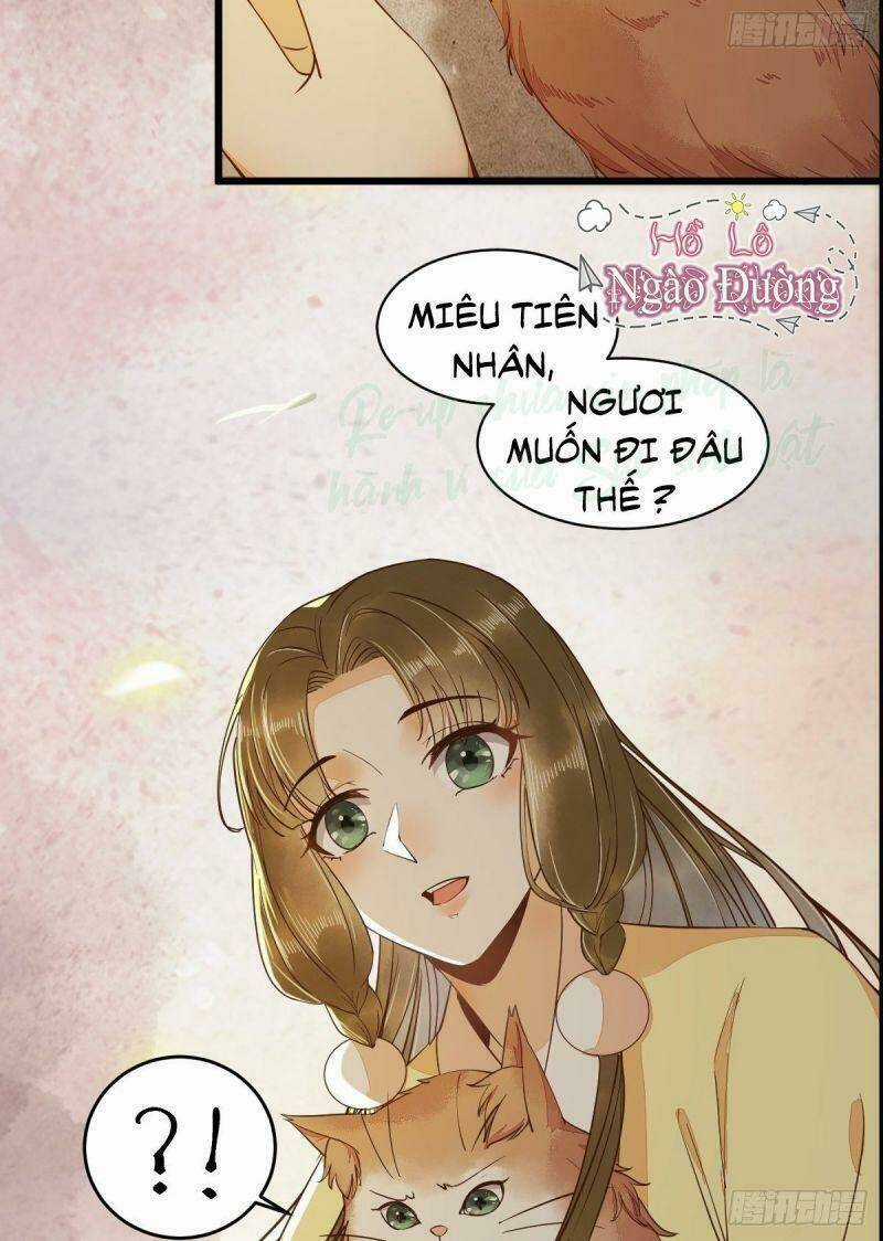 Sát Thủ Vương Phi Không Dễ Chọc - Chapter 35 - Trang 12