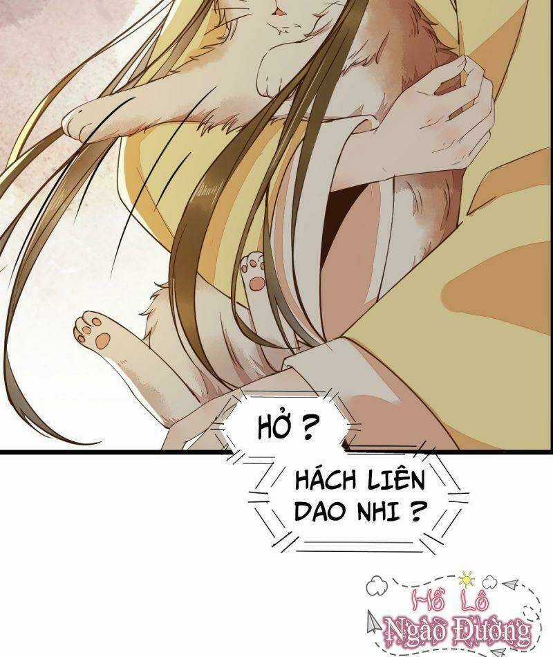 Sát Thủ Vương Phi Không Dễ Chọc - Chapter 35 - Trang 13