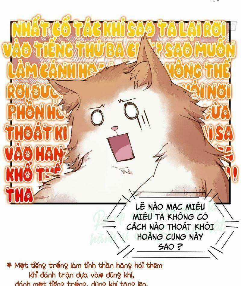 Sát Thủ Vương Phi Không Dễ Chọc - Chapter 35 - Trang 14