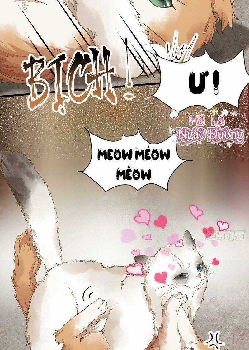 Sát Thủ Vương Phi Không Dễ Chọc - Chapter 35 - Trang 3