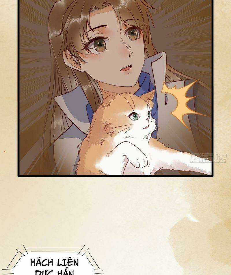 Sát Thủ Vương Phi Không Dễ Chọc - Chapter 35 - Trang 22