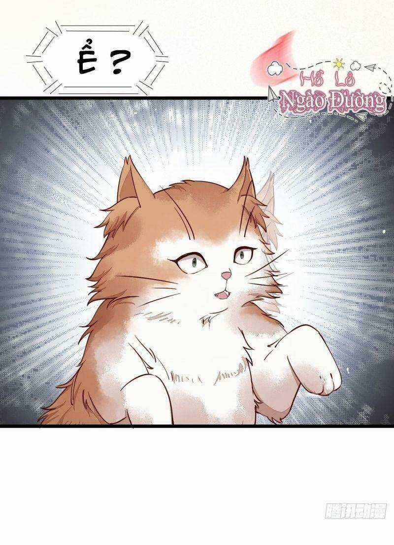 Sát Thủ Vương Phi Không Dễ Chọc - Chapter 35 - Trang 29