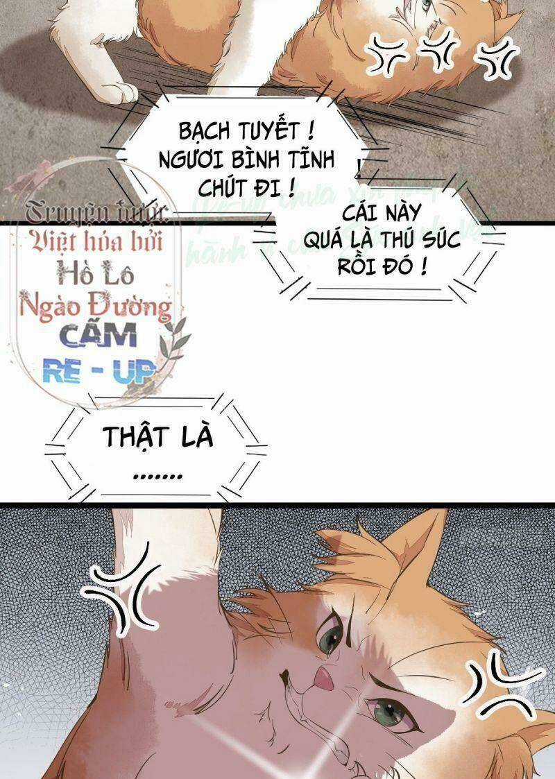 Sát Thủ Vương Phi Không Dễ Chọc - Chapter 35 - Trang 4