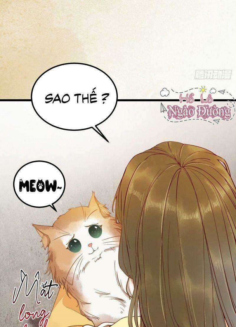 Sát Thủ Vương Phi Không Dễ Chọc - Chapter 35 - Trang 31