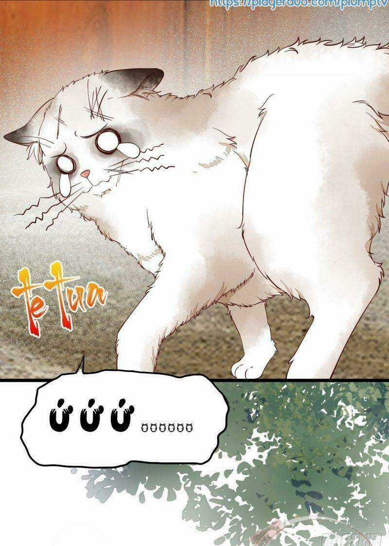 Sát Thủ Vương Phi Không Dễ Chọc - Chapter 35 - Trang 7