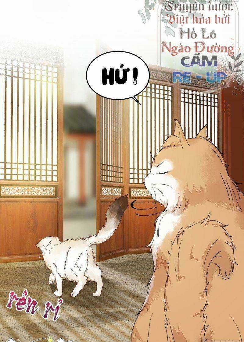 Sát Thủ Vương Phi Không Dễ Chọc - Chapter 35 - Trang 8