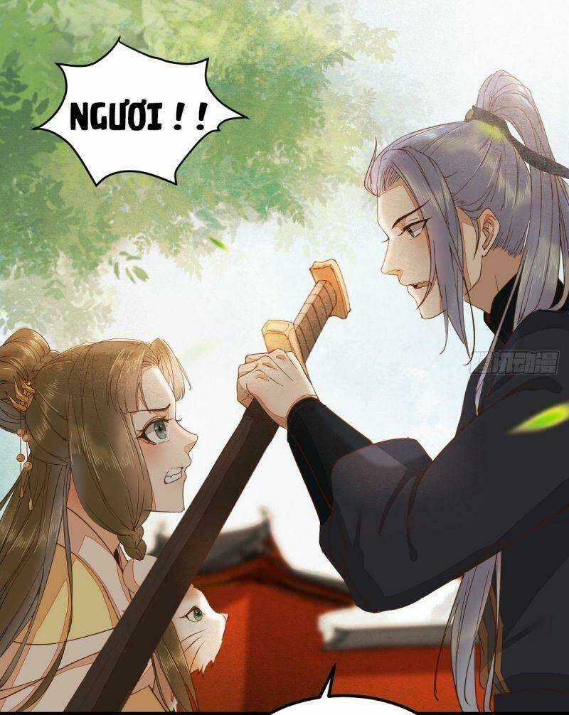 Sát Thủ Vương Phi Không Dễ Chọc - Chapter 36 - Trang 11