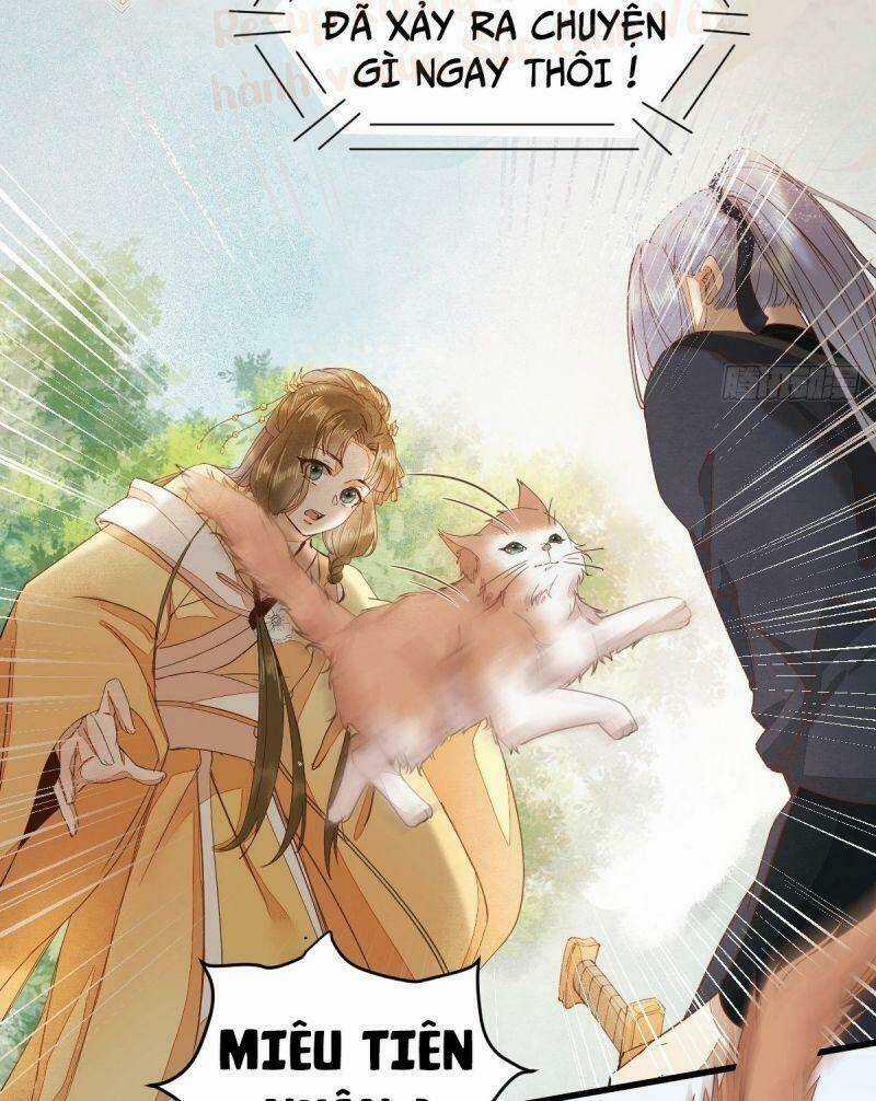 Sát Thủ Vương Phi Không Dễ Chọc - Chapter 36 - Trang 14