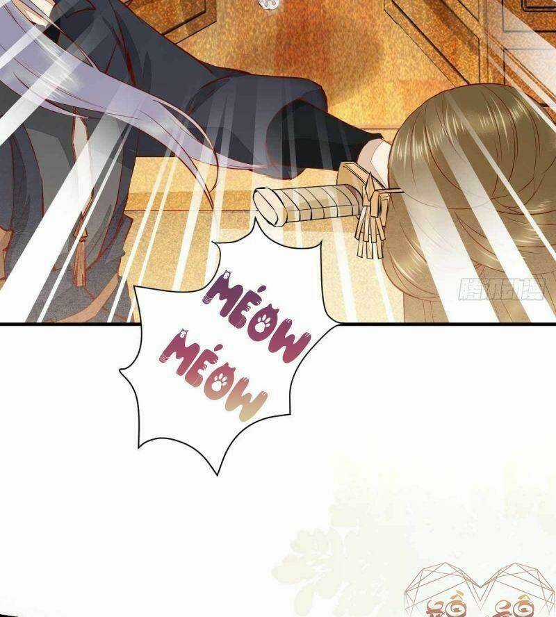 Sát Thủ Vương Phi Không Dễ Chọc - Chapter 36 - Trang 17