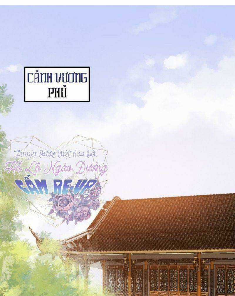 Sát Thủ Vương Phi Không Dễ Chọc - Chapter 36 - Trang 3