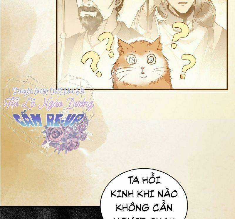 Sát Thủ Vương Phi Không Dễ Chọc - Chapter 36 - Trang 33