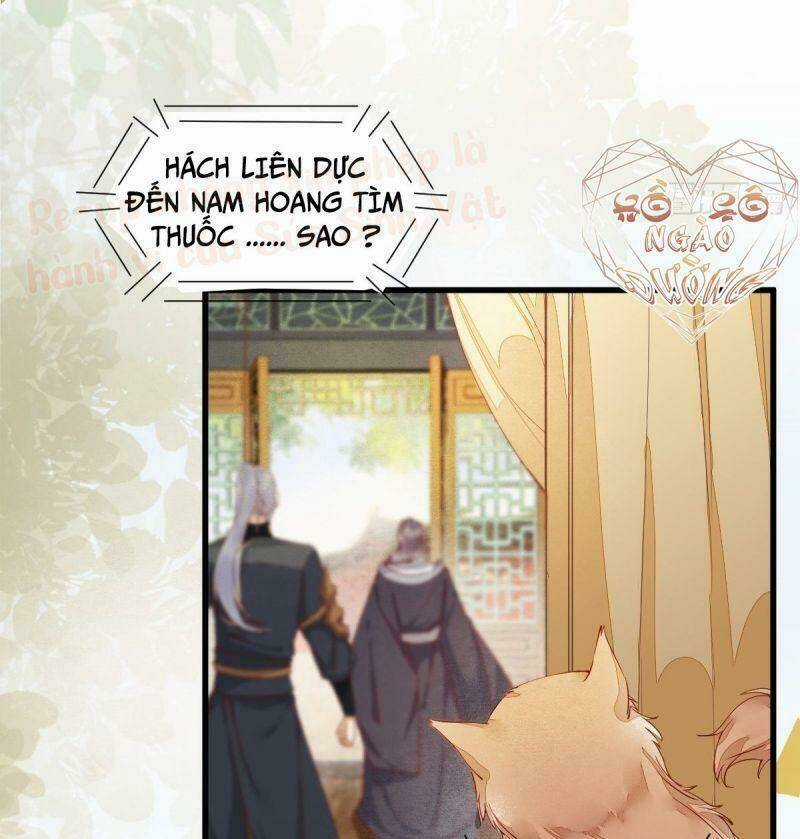 Sát Thủ Vương Phi Không Dễ Chọc - Chapter 36 - Trang 47