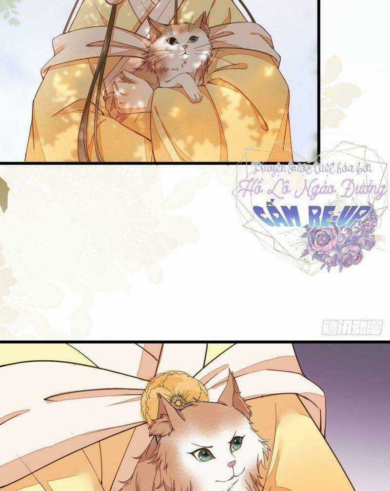 Sát Thủ Vương Phi Không Dễ Chọc - Chapter 36 - Trang 8