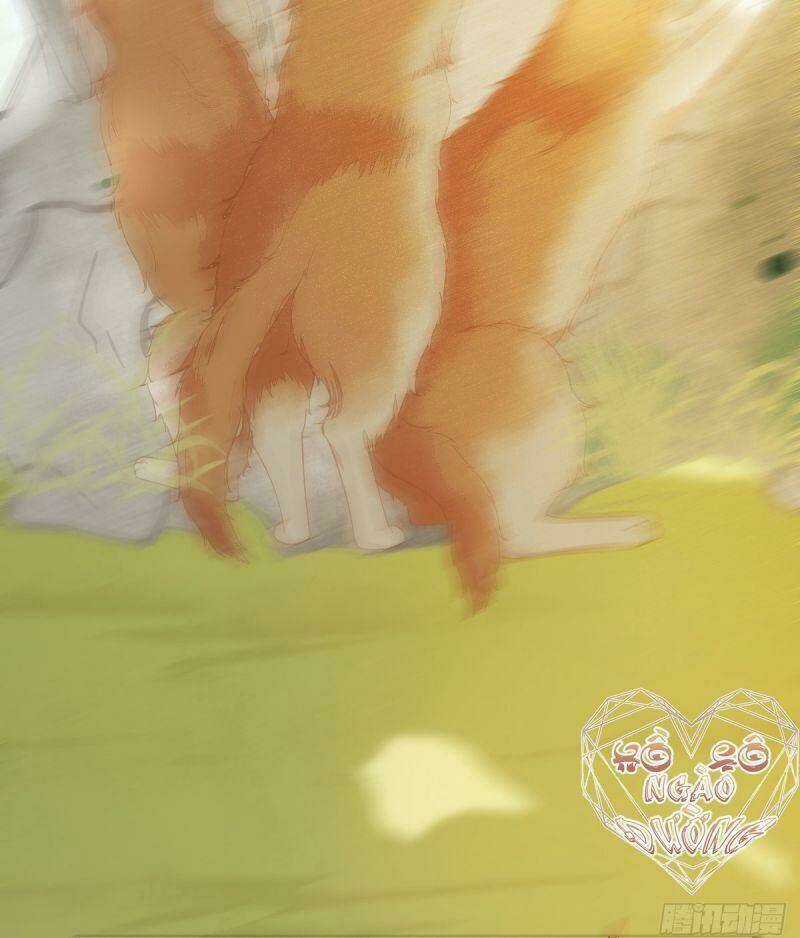 Sát Thủ Vương Phi Không Dễ Chọc - Chapter 37 - Trang 11