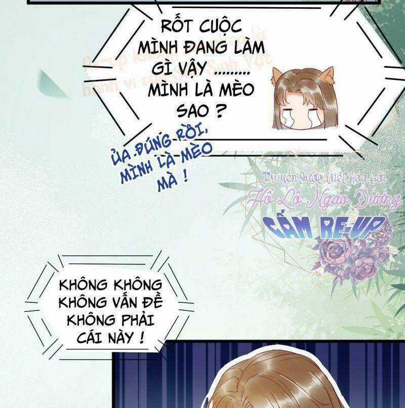 Sát Thủ Vương Phi Không Dễ Chọc - Chapter 37 - Trang 19