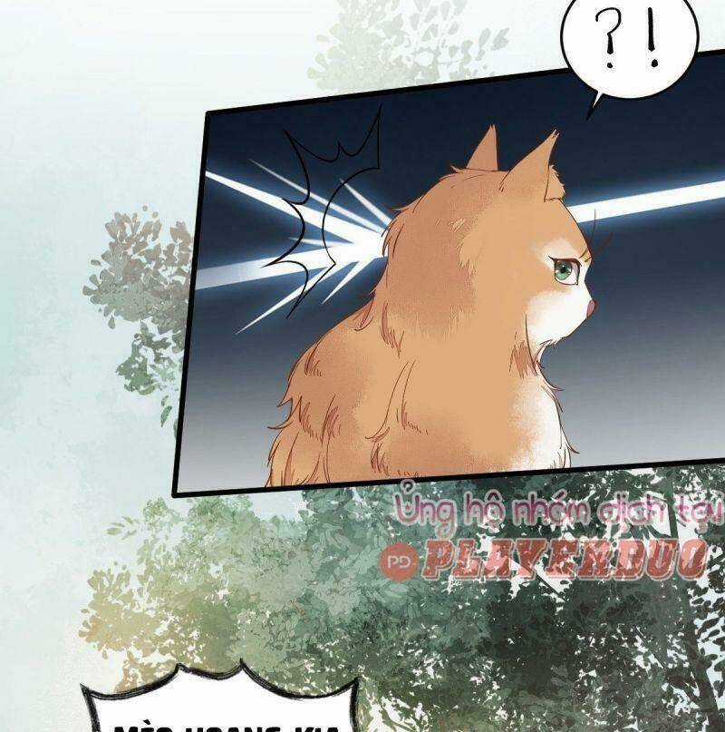 Sát Thủ Vương Phi Không Dễ Chọc - Chapter 37 - Trang 22