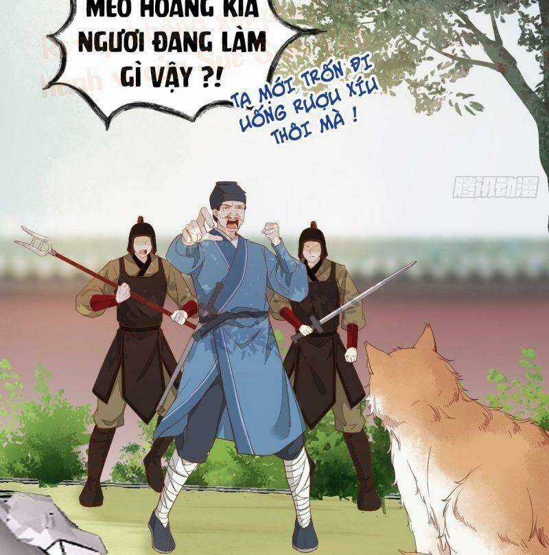 Sát Thủ Vương Phi Không Dễ Chọc - Chapter 37 - Trang 23