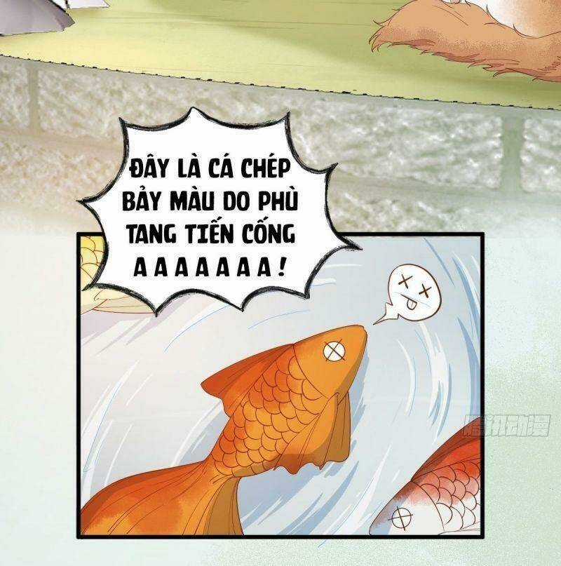 Sát Thủ Vương Phi Không Dễ Chọc - Chapter 37 - Trang 24