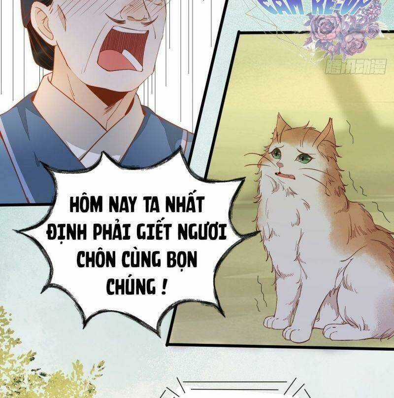 Sát Thủ Vương Phi Không Dễ Chọc - Chapter 37 - Trang 26