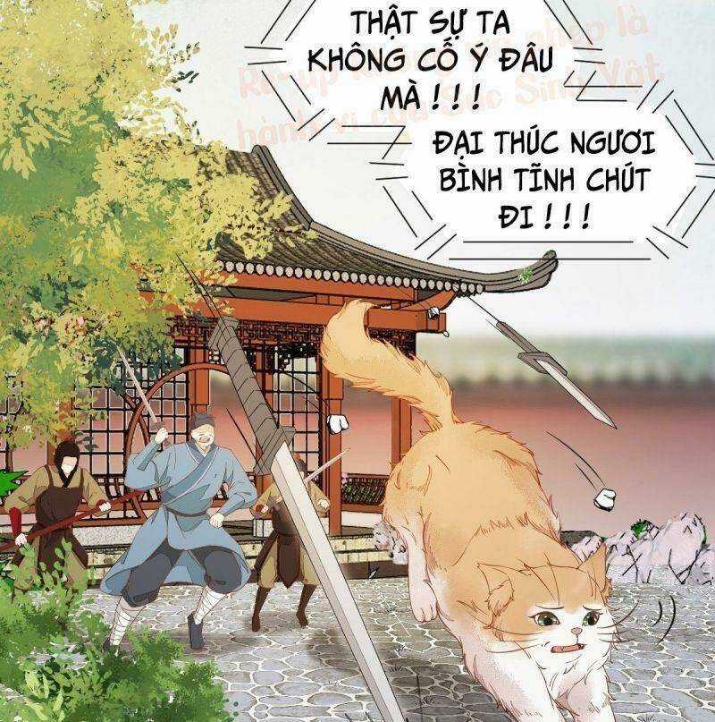 Sát Thủ Vương Phi Không Dễ Chọc - Chapter 37 - Trang 27