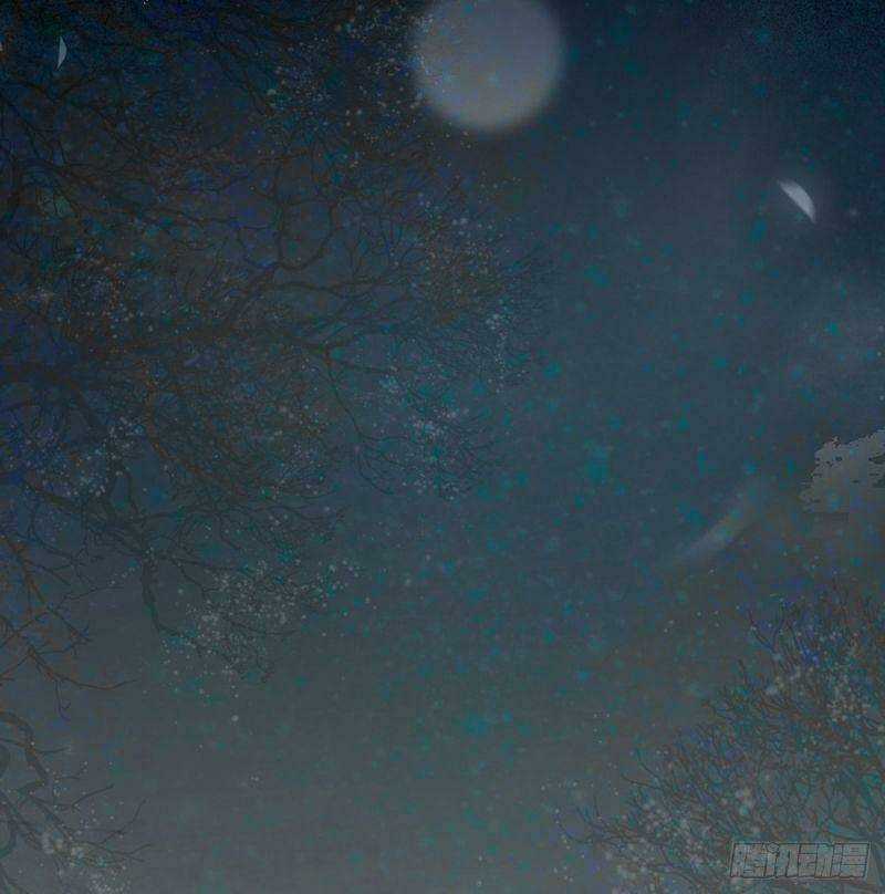 Sát Thủ Vương Phi Không Dễ Chọc - Chapter 37 - Trang 30