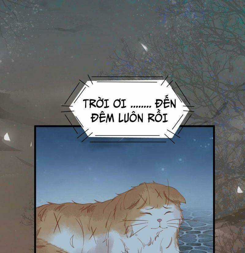 Sát Thủ Vương Phi Không Dễ Chọc - Chapter 37 - Trang 31