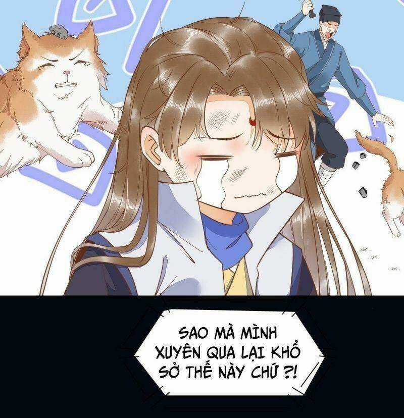 Sát Thủ Vương Phi Không Dễ Chọc - Chapter 37 - Trang 33