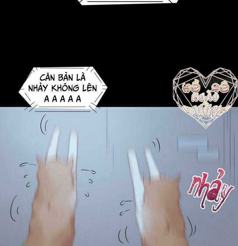 Sát Thủ Vương Phi Không Dễ Chọc - Chapter 37 - Trang 38